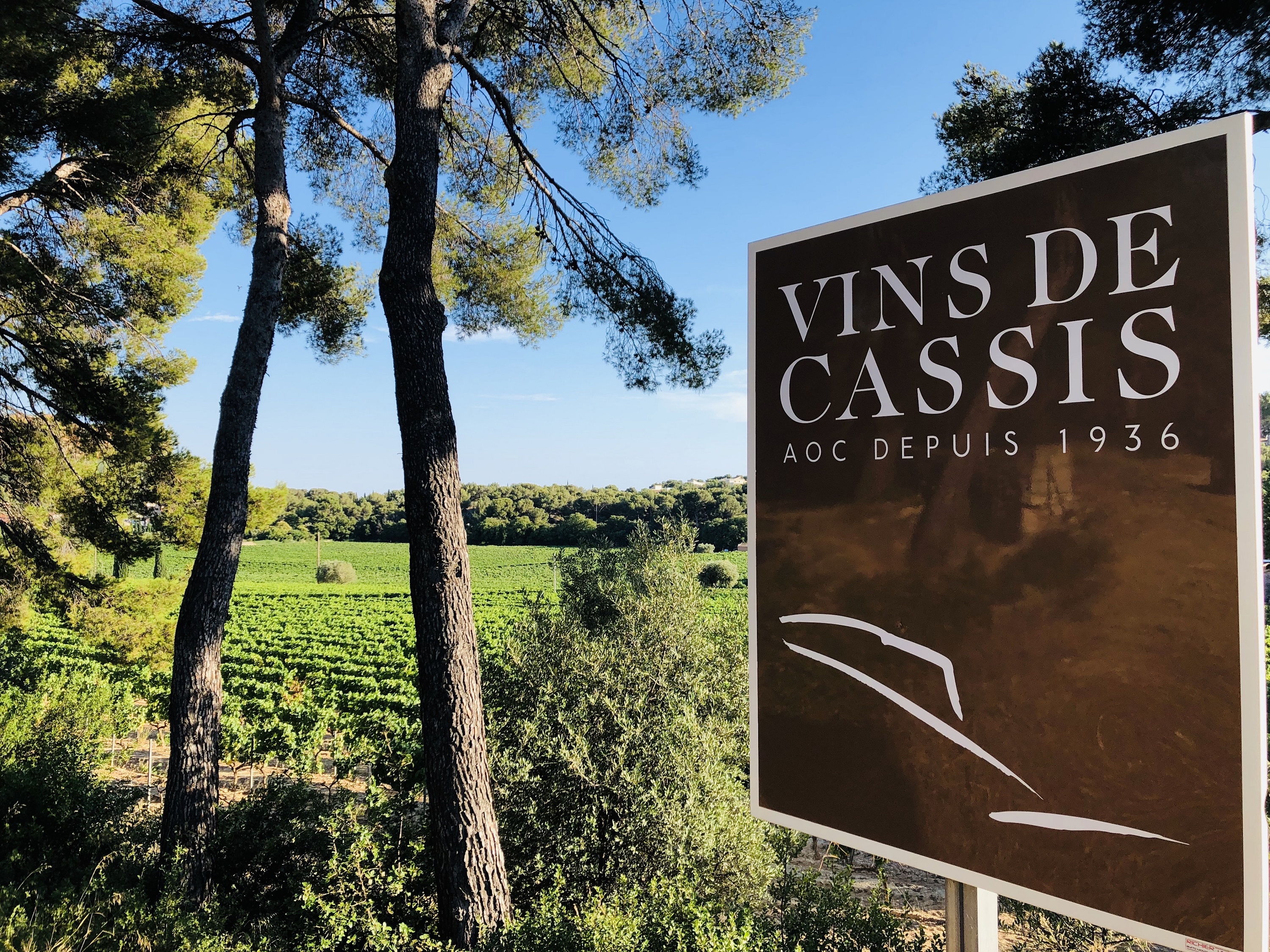 Discover the wine estates