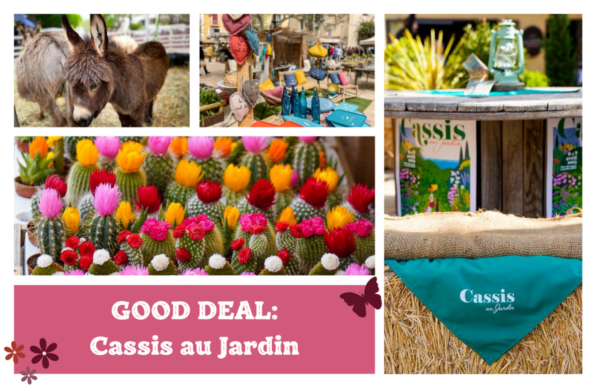 Spring deal: Discover Cassis in all its glory!