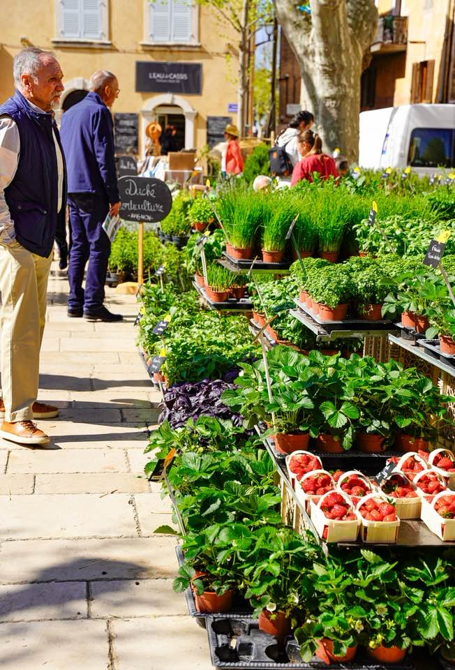 Bon plan : Cassis au jardin du 4 au 6 avril 2026 à Cassis Calanques Provence