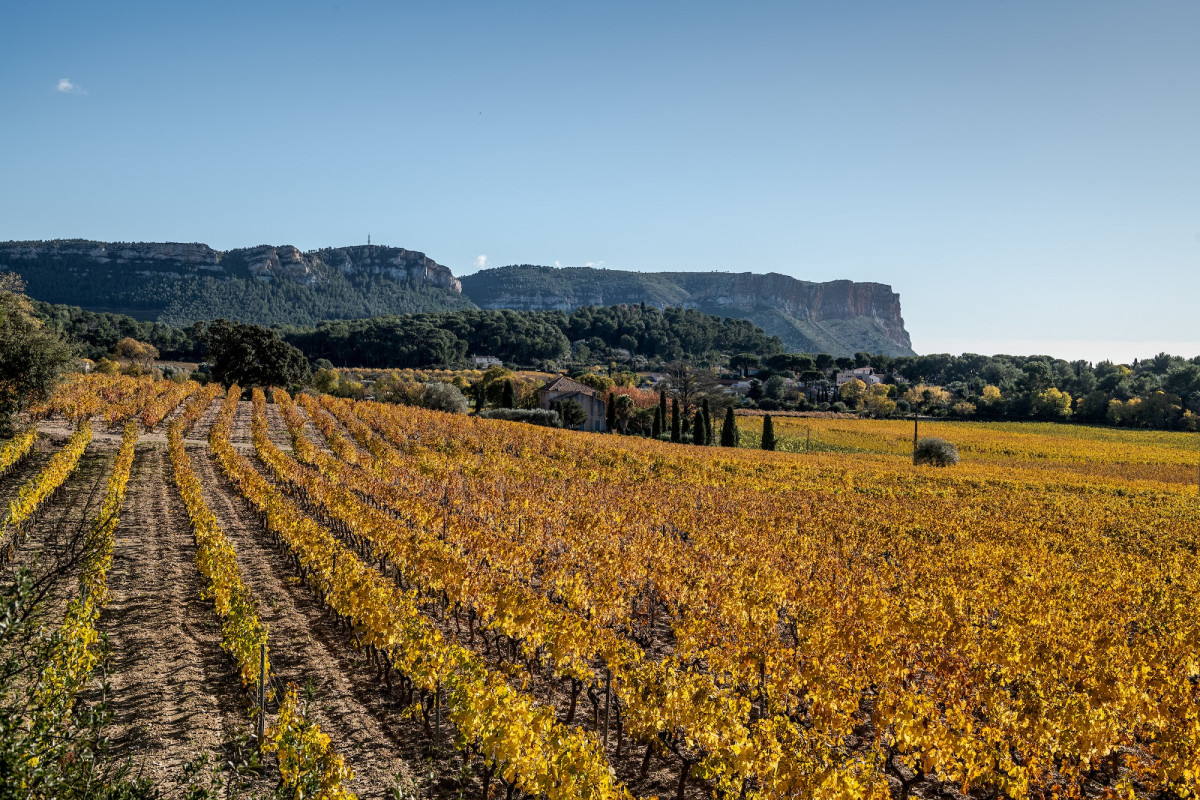 Cassis Bodin : Visit of a Cassis AOC vineyard and tasting of 5 wines - © Domaine Cassis Bodin Cassis Bodin : Visit of a Cassis AOC vineyard and tasting of 5 wines