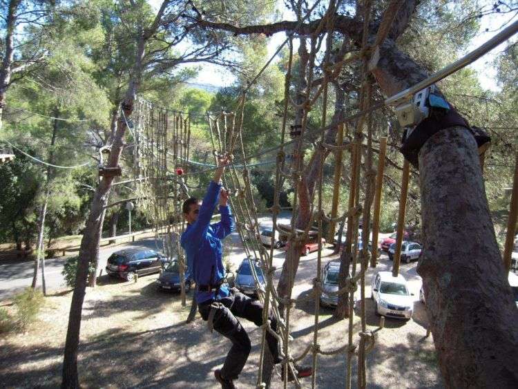 The rope park : CASSIS FOREST - © Cassis Forest The rope park : CASSIS FOREST