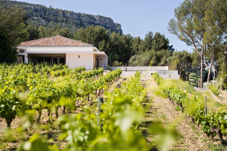 Domaine La Dona Tigana à Cassis