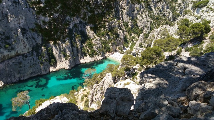  La magique : Randonnée dans les Calanques, les belvédères d'En Vau, Port Miou, Port Pin