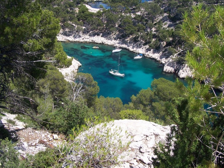  La magique : Randonnée dans les Calanques, les belvédères d'En Vau, Port Miou, Port Pin