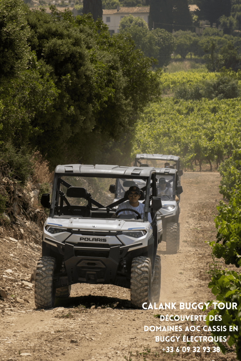 photo-hotel-10-compresse-223428