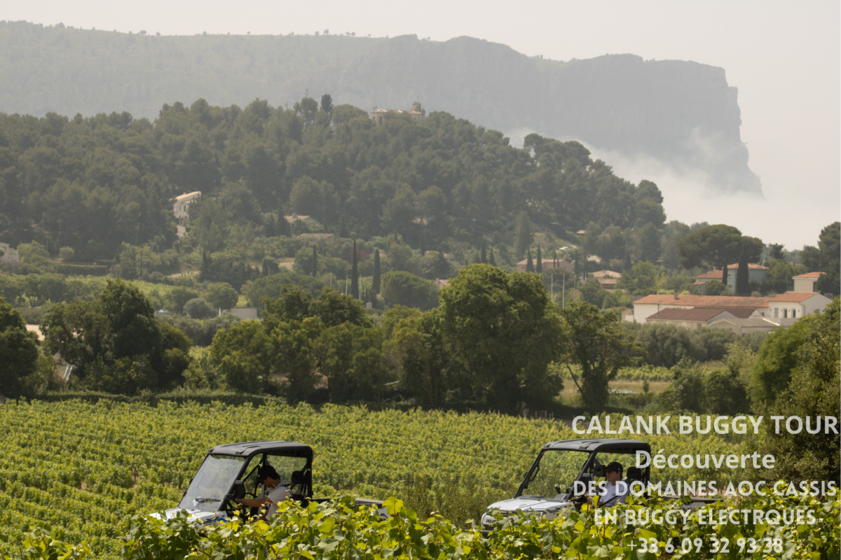 photo-hotel-2-223418 photo-hotel-2-223418