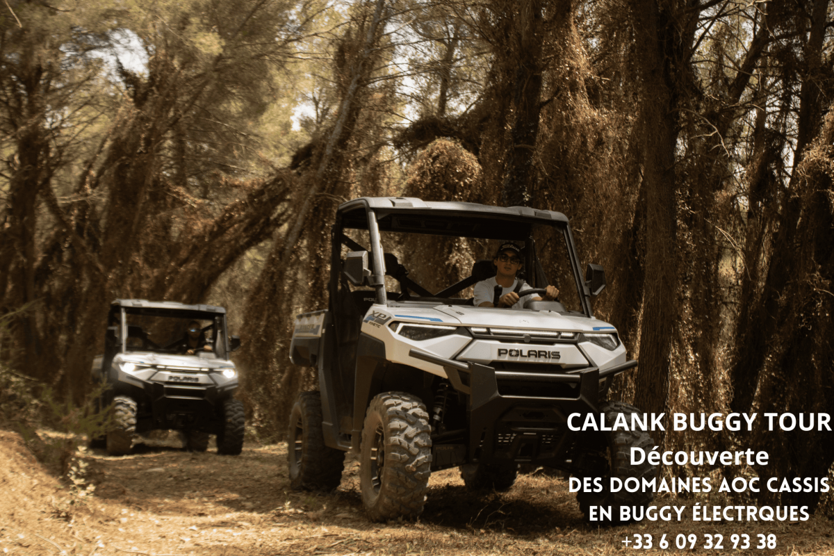 photo-hotel-3-compresse-223422 photo-hotel-3-compresse-223422