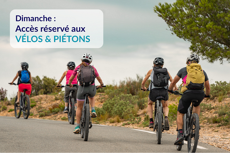 Route des Crêtes le dimanche : Location de E-VTT