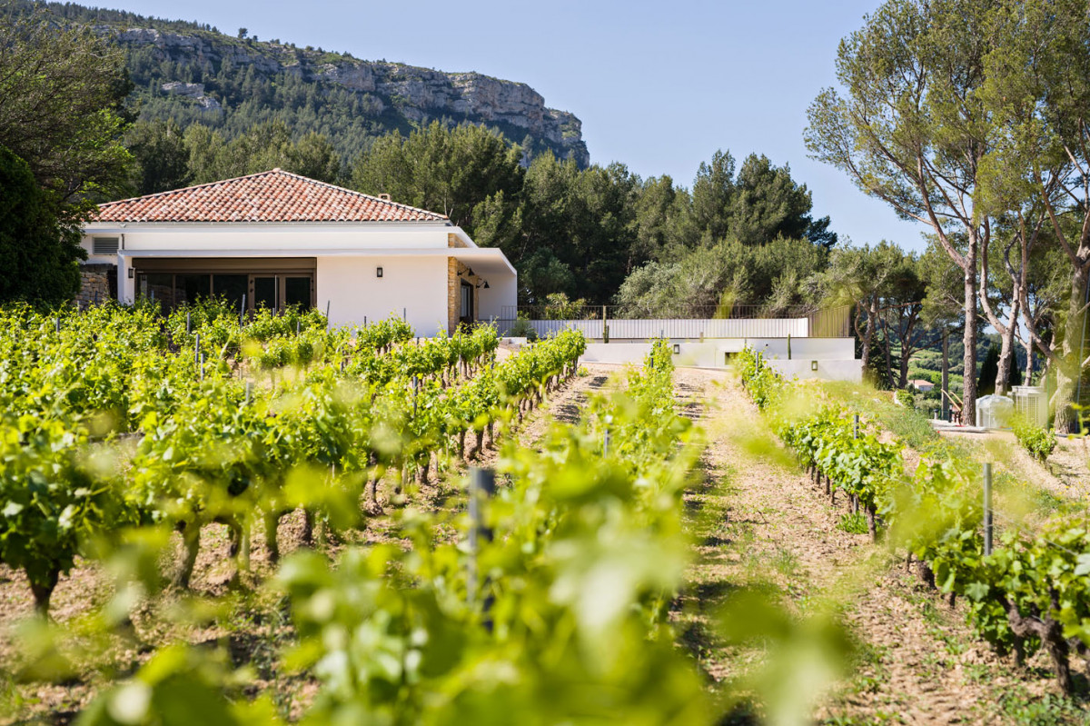 Visit and dinner in a vineyard in Cassis near Marseille - © La Dona Tigana Cassis Visit and dinner in a vineyard in Cassis near Marseille