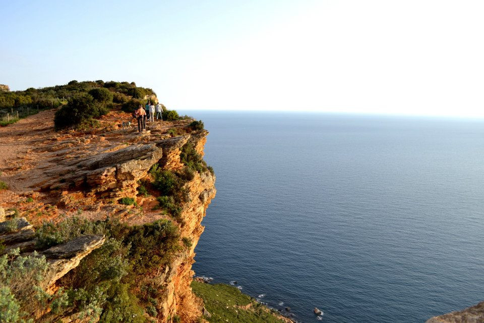 Tour 1H en voiture avec chauffeur : Cassis et ses incontournables