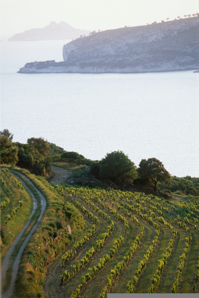 Tour 1H en voiture avec chauffeur : Cassis et ses incontournables