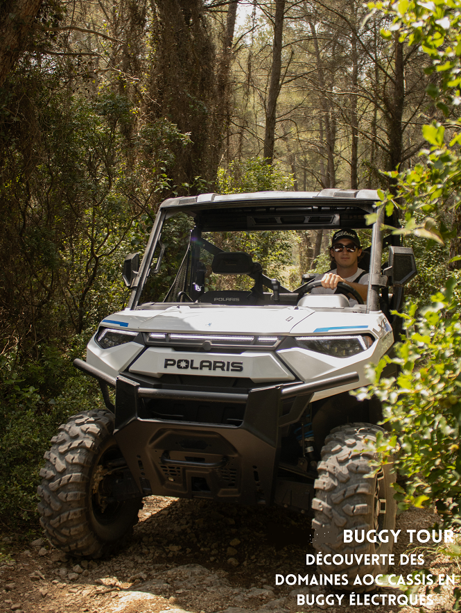 1-Hour electric buggy tour along the scenic ridge road