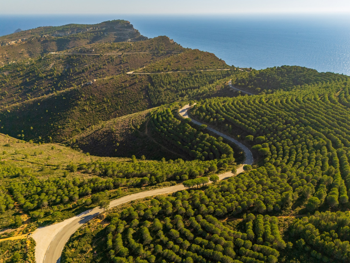Tour 2H des vignobles de Cassis et de la route des crêtes en buggy électrique à Cassis