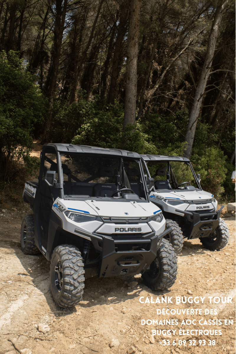 Tour 2H des vignobles de Cassis et de la route des crêtes en buggy électrique à Cassis
