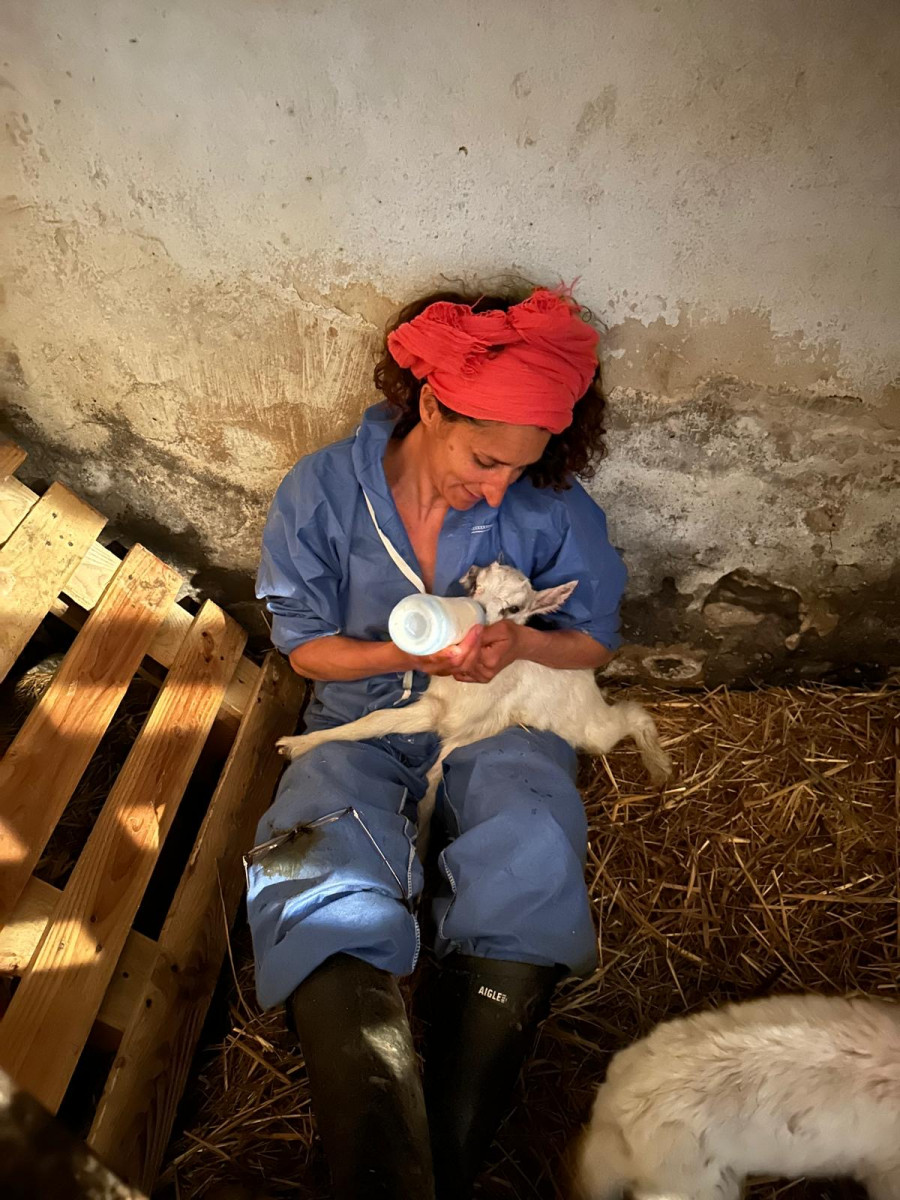 Visite de la chèvrerie de Cassis et dégustation de ses produits fermiers - © Fannélie Lecat Santini Visite de la chèvrerie de Cassis et dégustation de ses produits fermiers