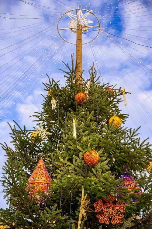Visite guidée à Cassis : Noël en Provence