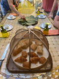 Goat Milking Workshop & Farm Breakfast in Cassis France