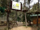 Cassis Forest Accrobranche