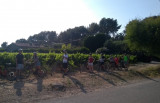 Electric Bike Tour - Discover the 12 wine estates (2H30) with Trolib