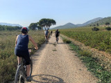 Location de E-VTT 1/2 journée sur Cassis et Parc national des Calanques