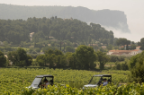 Tour 1H des vignobles AOC Cassis en buggy électrique
