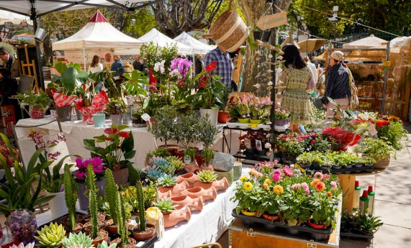Bon plan : Cassis au jardin du 4 au 6 avril 2026 à Cassis Calanques Provence - © E.Ruf@VilledeCassis Bon plan : Cassis au jardin du 4 au 6 avril 2026 à Cassis Calanques Provence