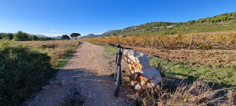 Electric Bike Tour - Discover the 12 wine estates (2H30) with Trolib