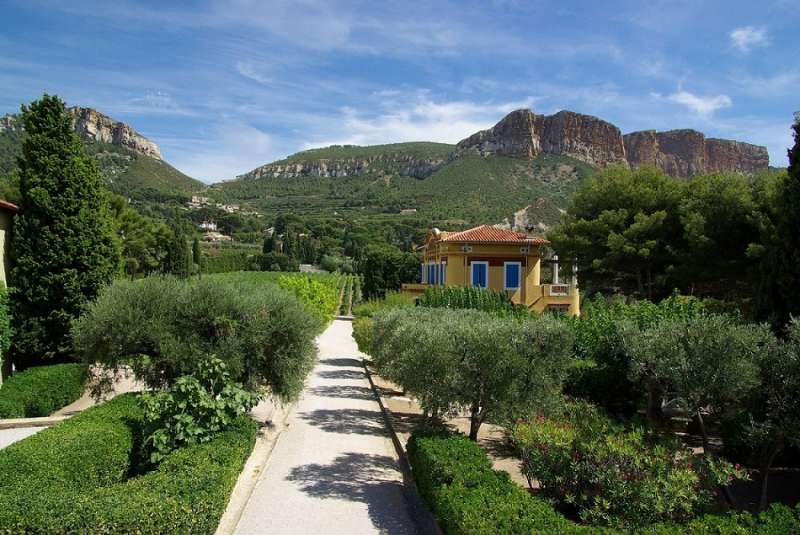 Le Clos Sainte Magdeleine Visite du vignoble AOC Cassis et dégustation