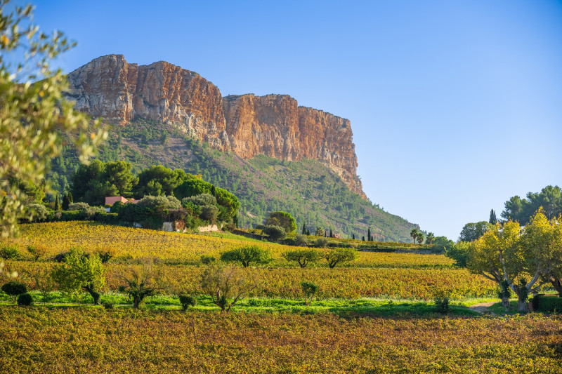 1/2 day electric mountain bike hire in Cassis France and the Calanques National Park