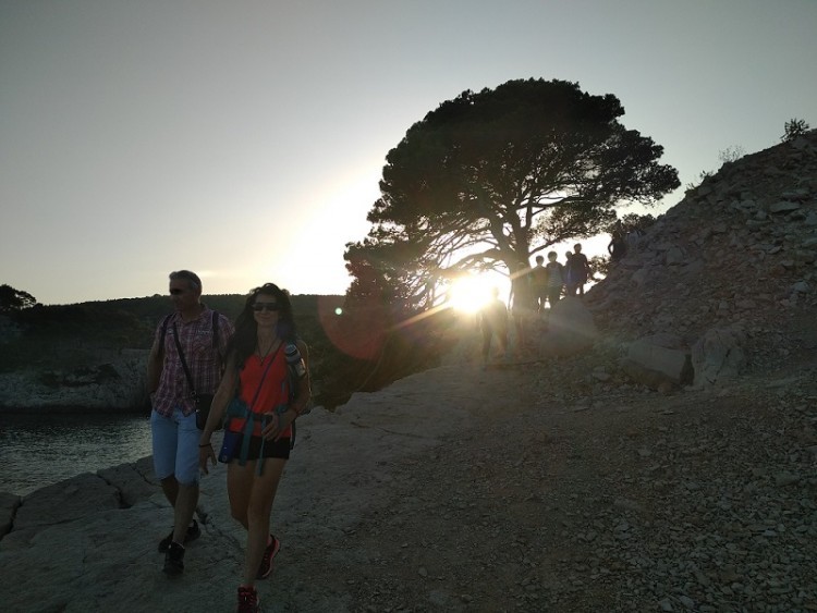 Evening event: Guided walk at the gates of the Calanques with panoramic view of the fireworks.