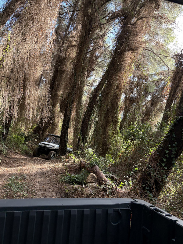 Sunset Tour Cap Canaille 1H30 en buggy électrique à Cassis