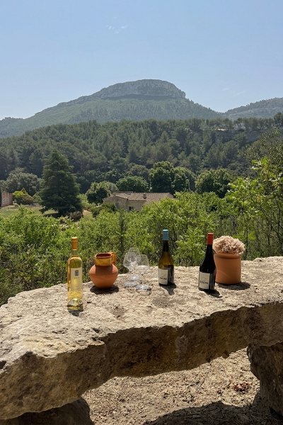 Tour 1H des vignobles AOC Cassis en buggy électrique Tour 1H des vignobles AOC Cassis en buggy électrique