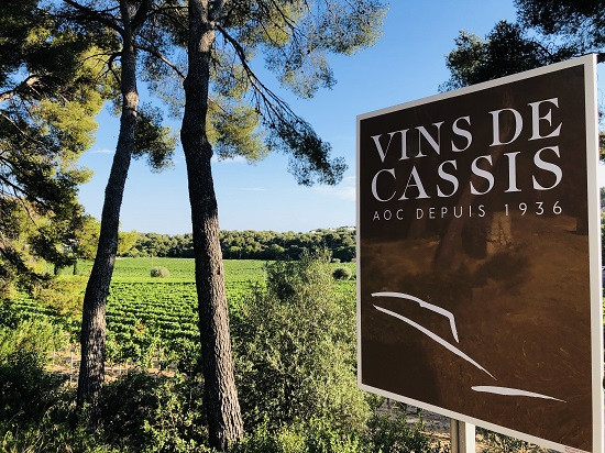 1H tour by car with driver: Cassis and its must-sees