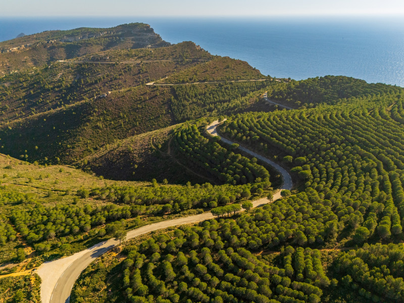 Tour 2H des vignobles de Cassis et de la route des crêtes en buggy électrique à Cassis